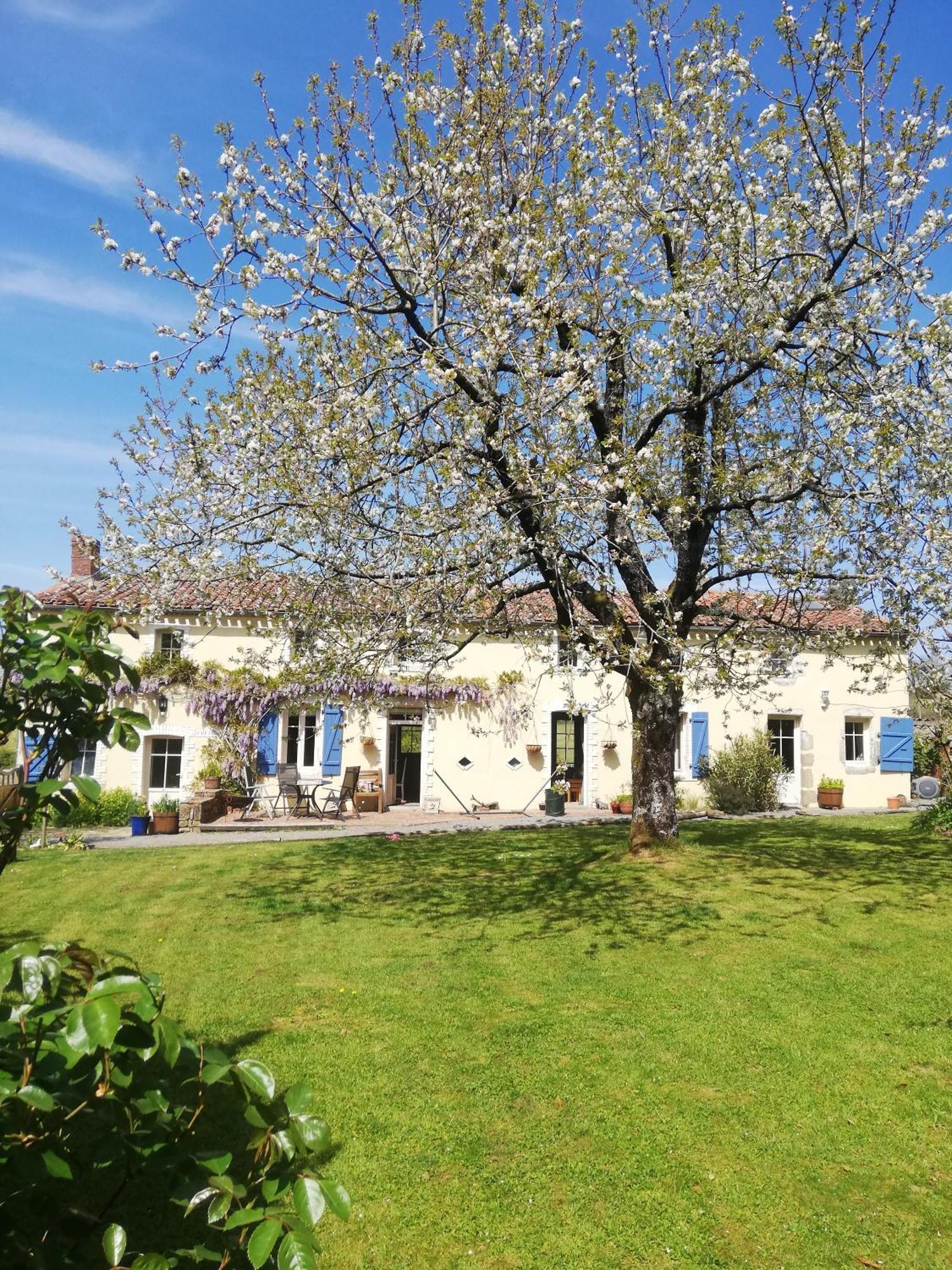 Papillons B&B - Beauty, Comfort And Peace 25 Mins From Puy Du Fou Montournais Exterior foto